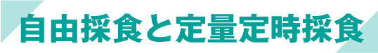 自由採食と定量定時採食