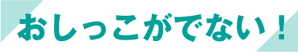 おしっこがでない！