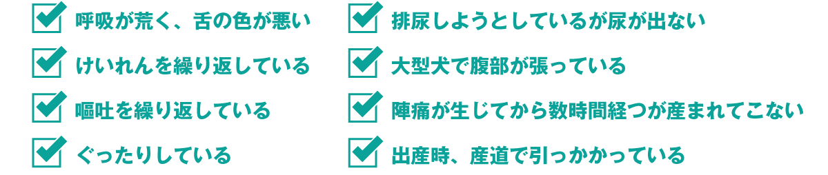 症状の確認事項