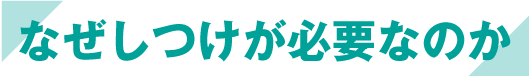 なぜしつけが必要なのか