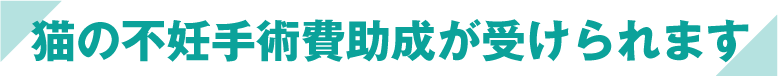 猫の不妊手術費助成が受けられます