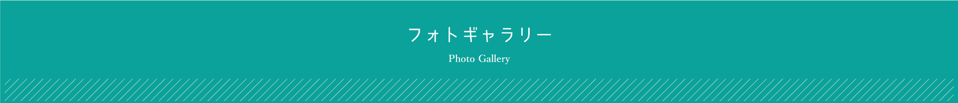 フォトギャラリー
