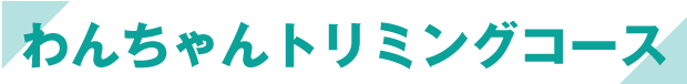 わんちゃんトリミングコース