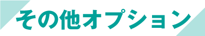 その他オプション